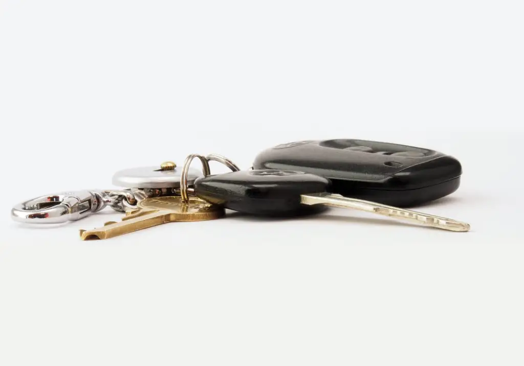 Car's keyfob